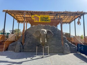 مجسمات للحدائق العامة